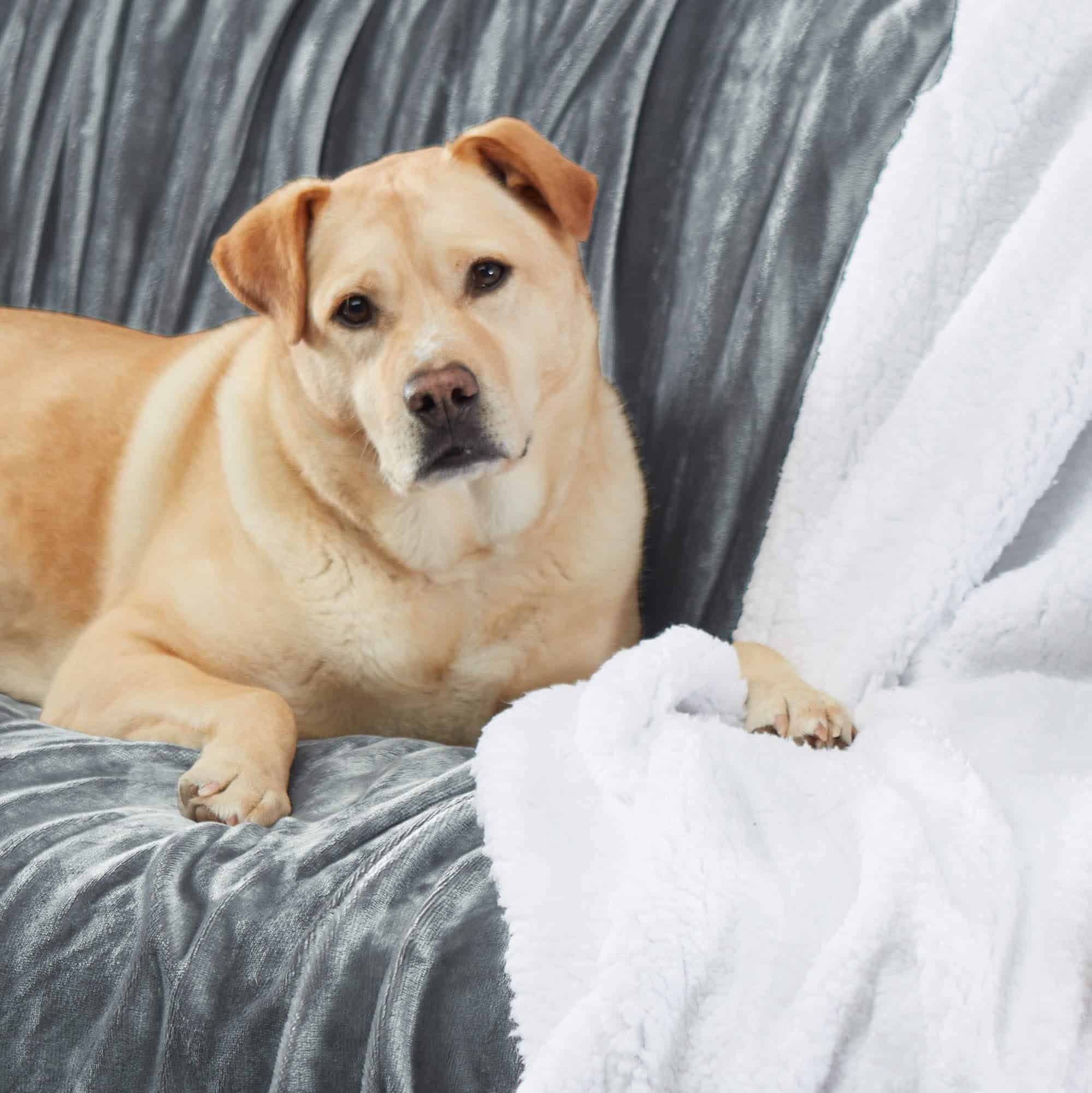 Manta de felpa reversible ultra suave Genteele Sherpa, 60 x - Imagen 7