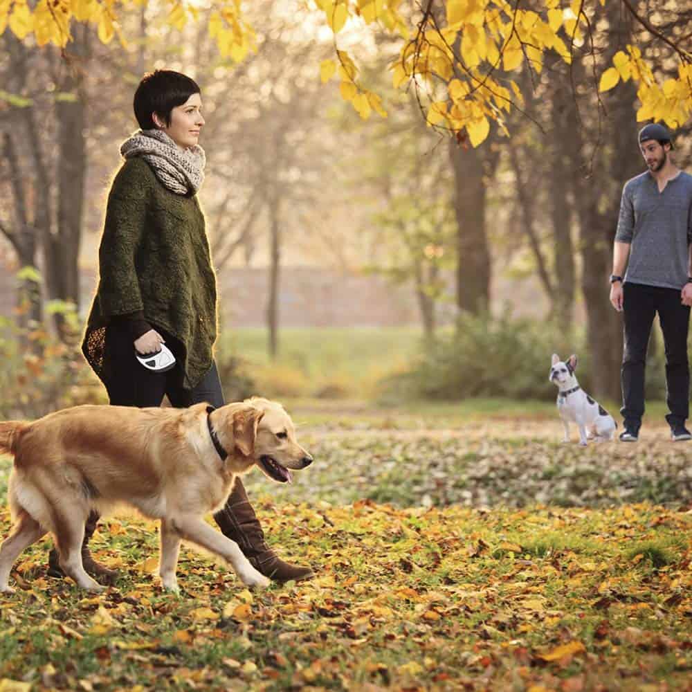 Correas retráctiles para perros MOWASS, 16 pies 360° sin - Imagen 4