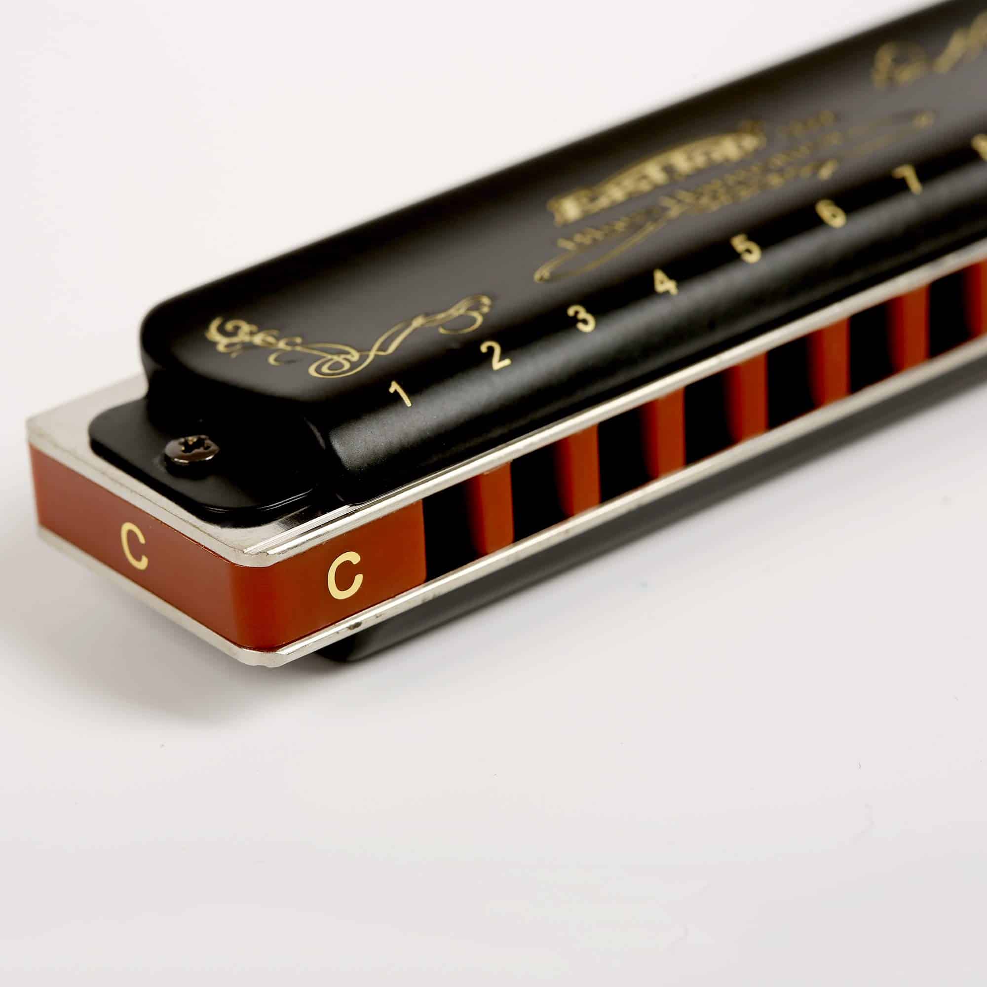 Armónica Diatónica de Blues 10 Agujeros -Negro - Imagen 9