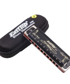 Armonica Diatónica de Blues de 10 Agujeros T008K Negro con