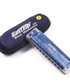 Armonica de Blues T008K de 10 Agujeros con Estuche -