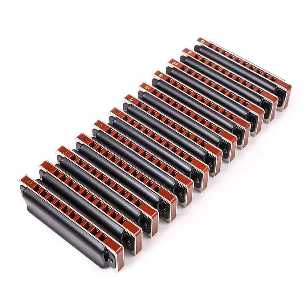 Armónica Diatónica de Blues 10 Agujeros Set 12 Juegos de - Imagen 3