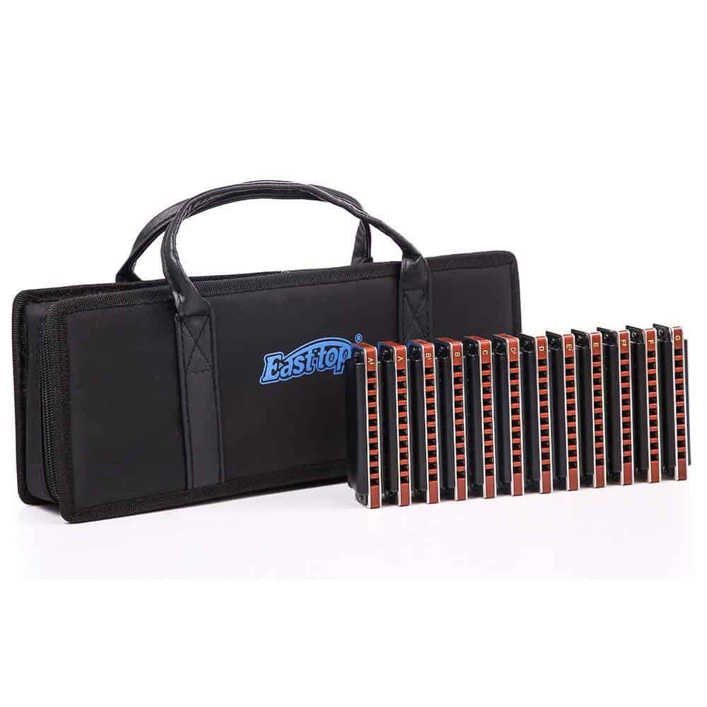 Armónica Diatónica de Blues 10 Agujeros Set 12 Juegos de