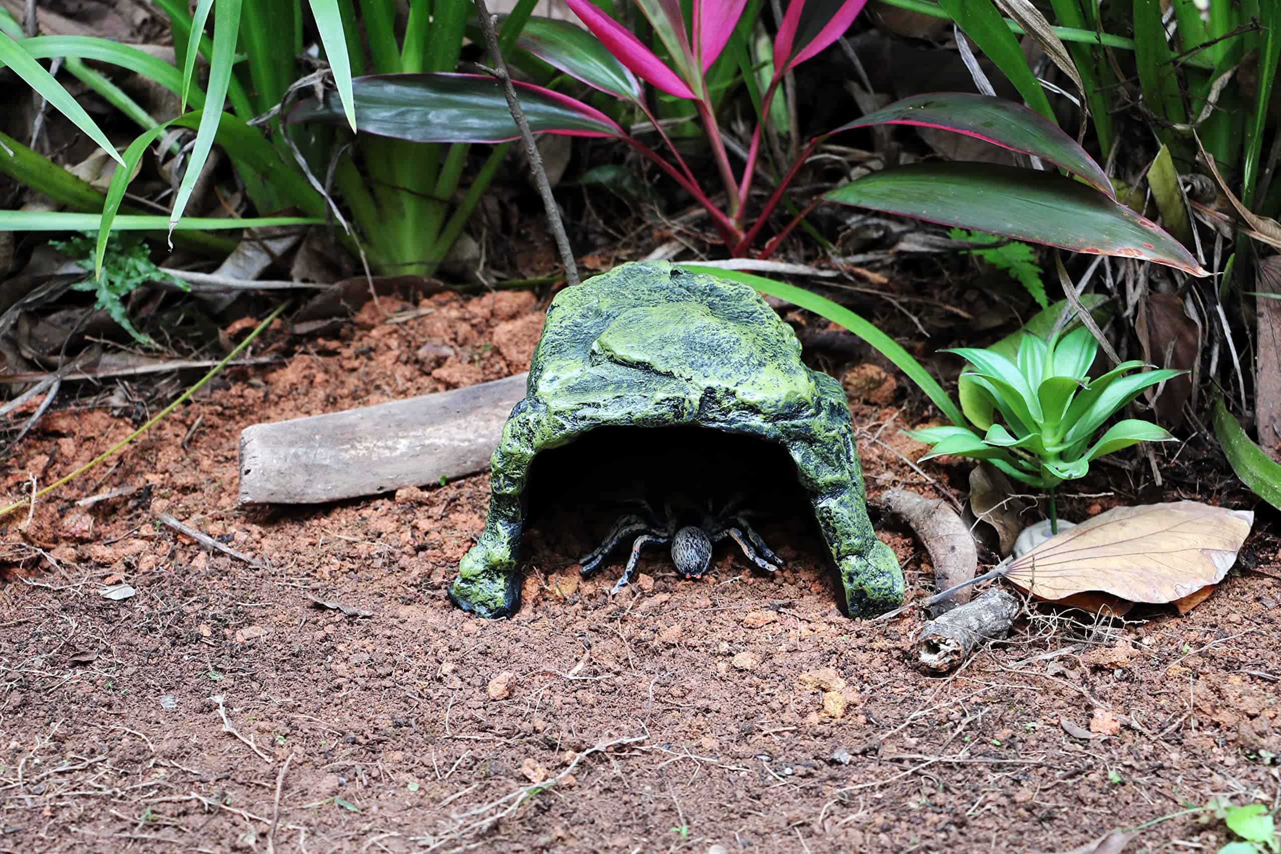 Cueva de Roca Escondida MODERNJOE'S para Reptiles, Anfibios - Imagen 5