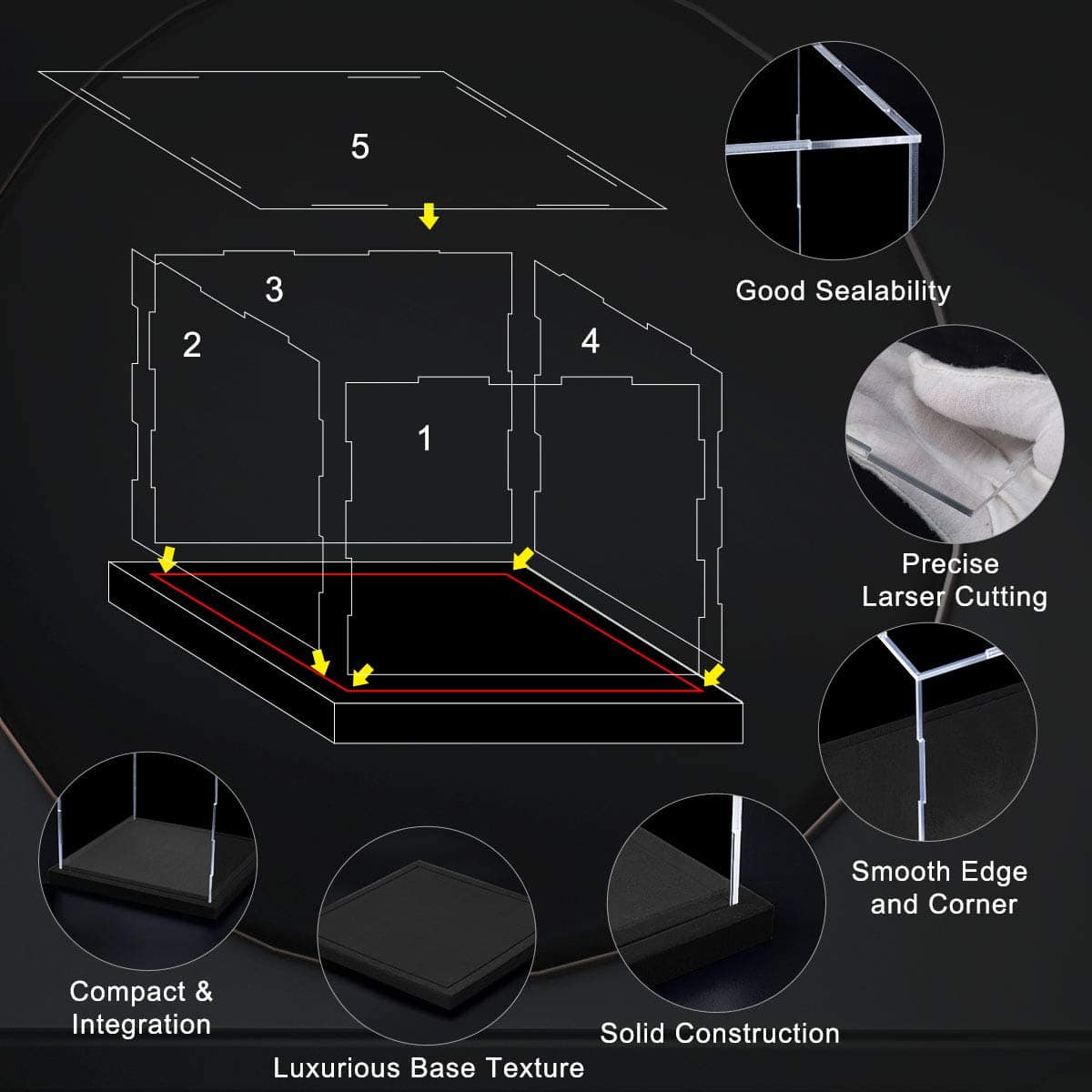 Estuche de exhibición QIMOND con tapa para coleccionables, - Imagen 7