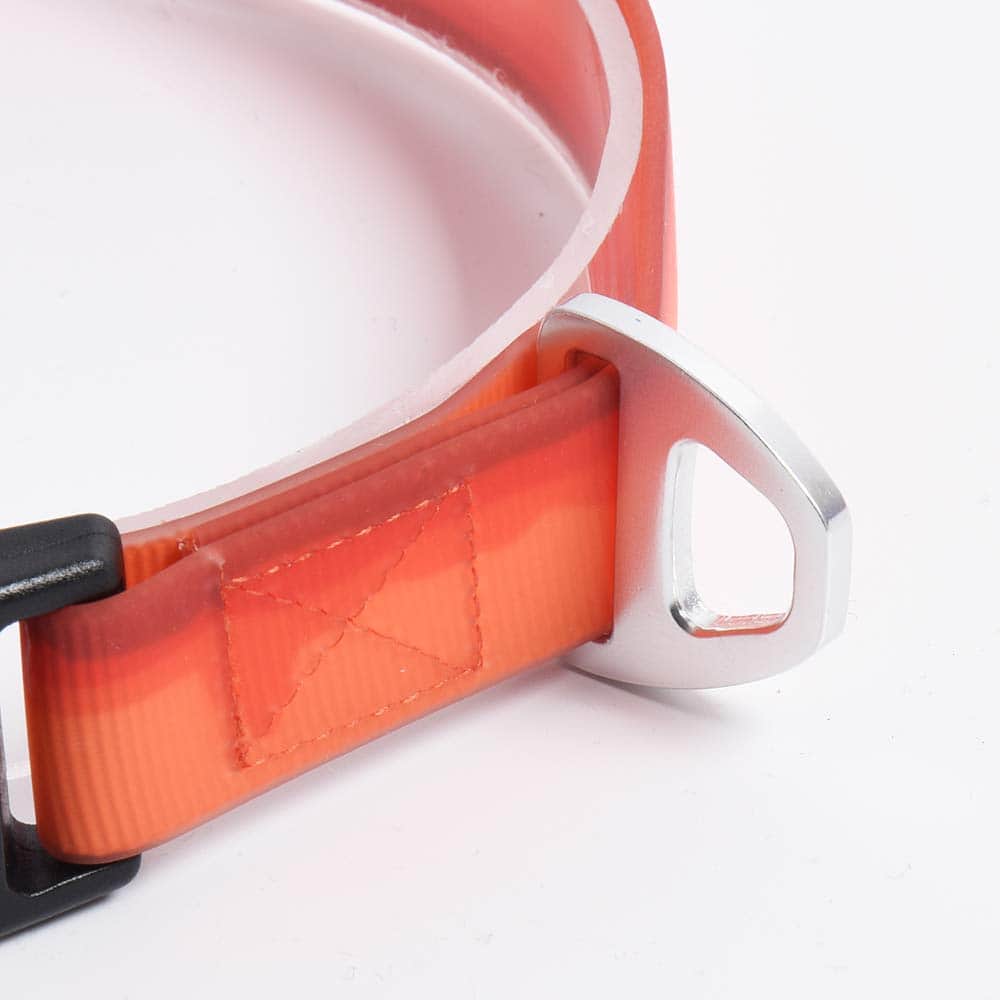 Collar para perros impermeable sin olor BlackDoggy con - Imagen 4