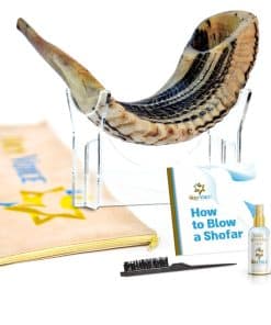Shofar Kosher de Carnero Hecho a Mano de Israel 24"-28" �