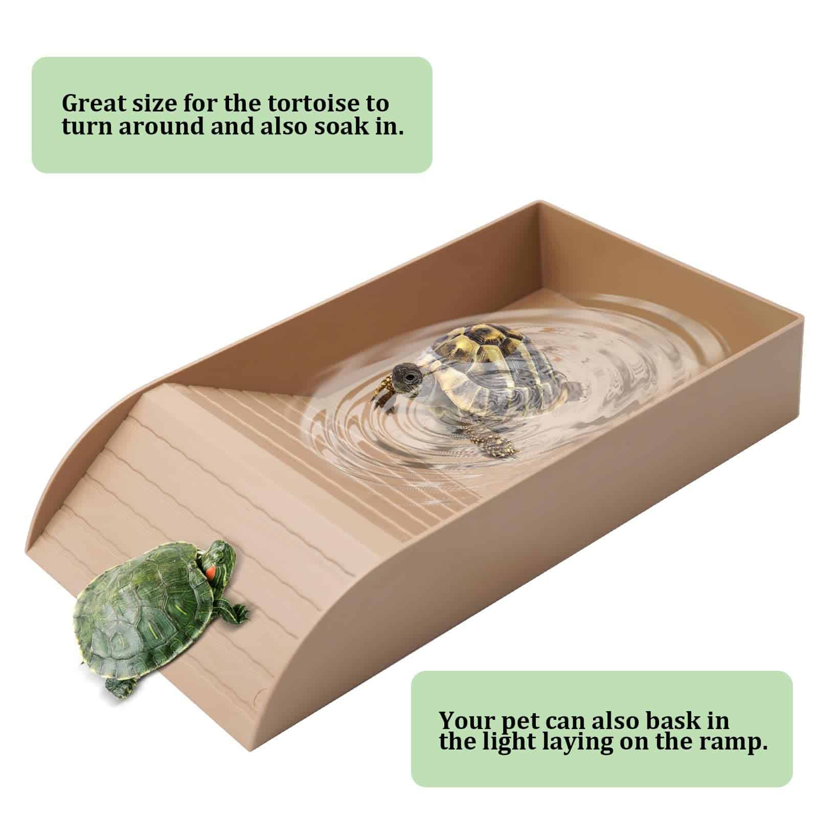 Plato de alimentación para reptiles tortugas con rampa y - Imagen 3