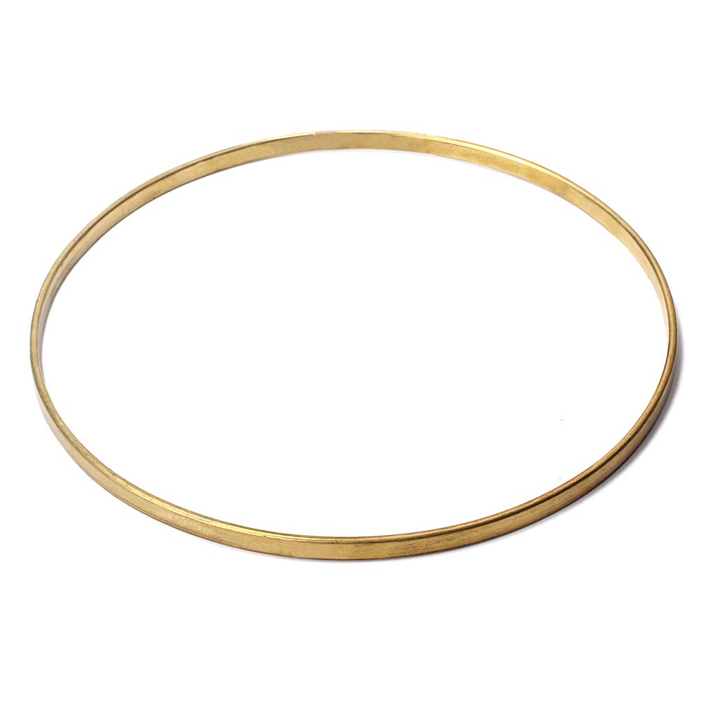 Alnicov Banjo Tension Hoop Banjo Flanges 11 Inch - Para