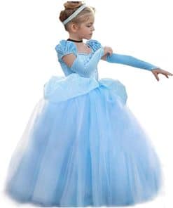 Disfraz de Cenicienta para Niñas Vestido -Cenicienta1