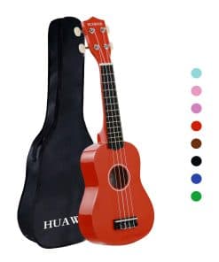 HUAWIND Ukulele, Ukelele Soprano de 21 pulgadas para
