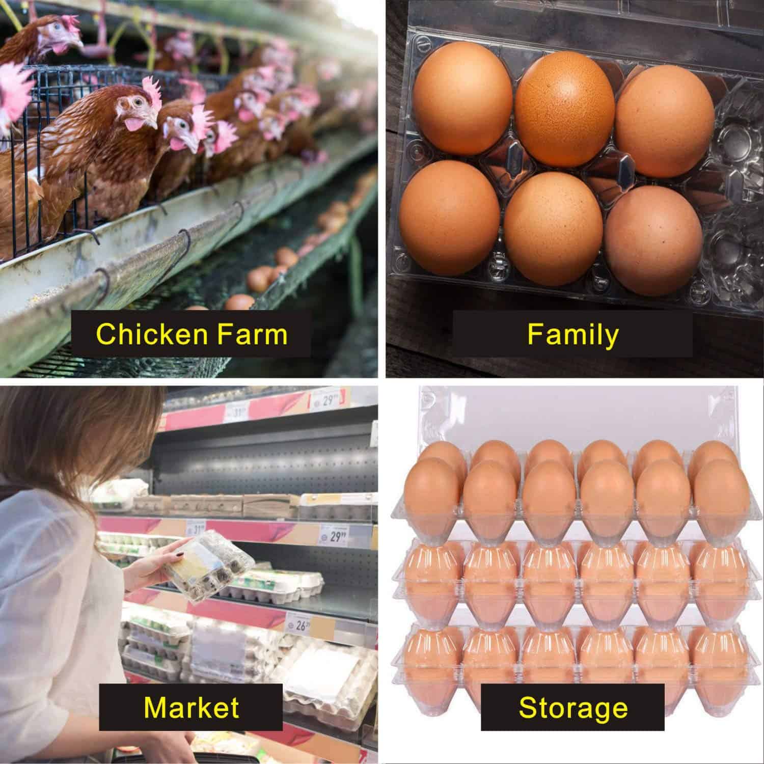 Paquetes de 30 Cajas de Plástico para Huevos Grandes con - Imagen 7
