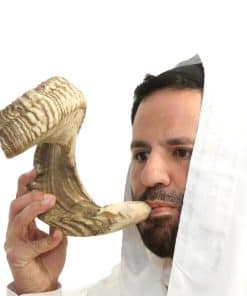 Shofar de Yemeni Santo Holy Voice de Israel - Shofar de