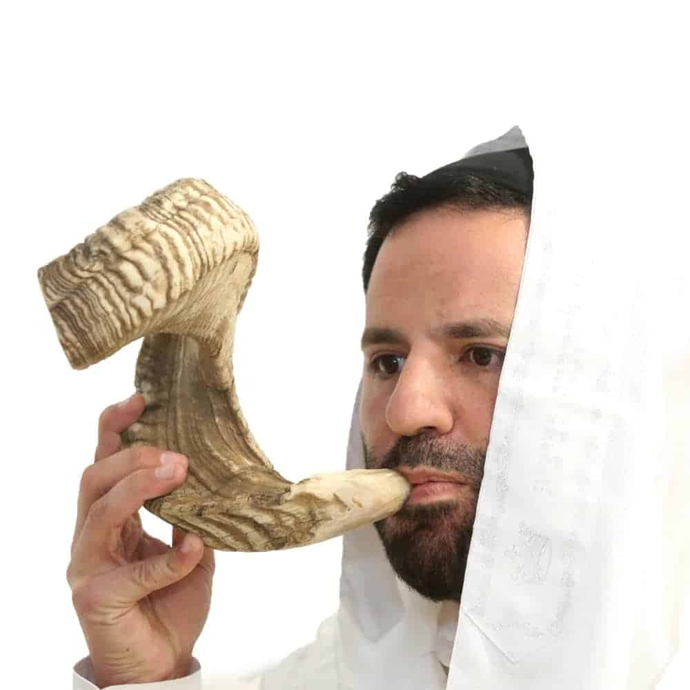 Shofar de Yemeni Santo Holy Voice de Israel - Shofar de