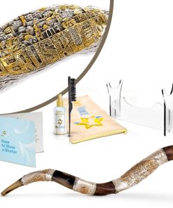 Shofar de Cuerno de Kudu Plateado en Plata Santa de Holy