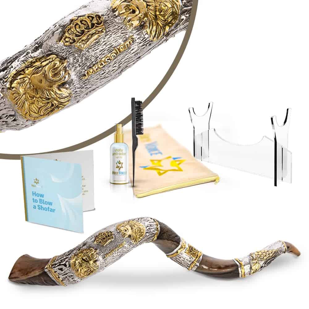 Shofar de Cuerno de Israel Plateado en Plata Santa Voz -