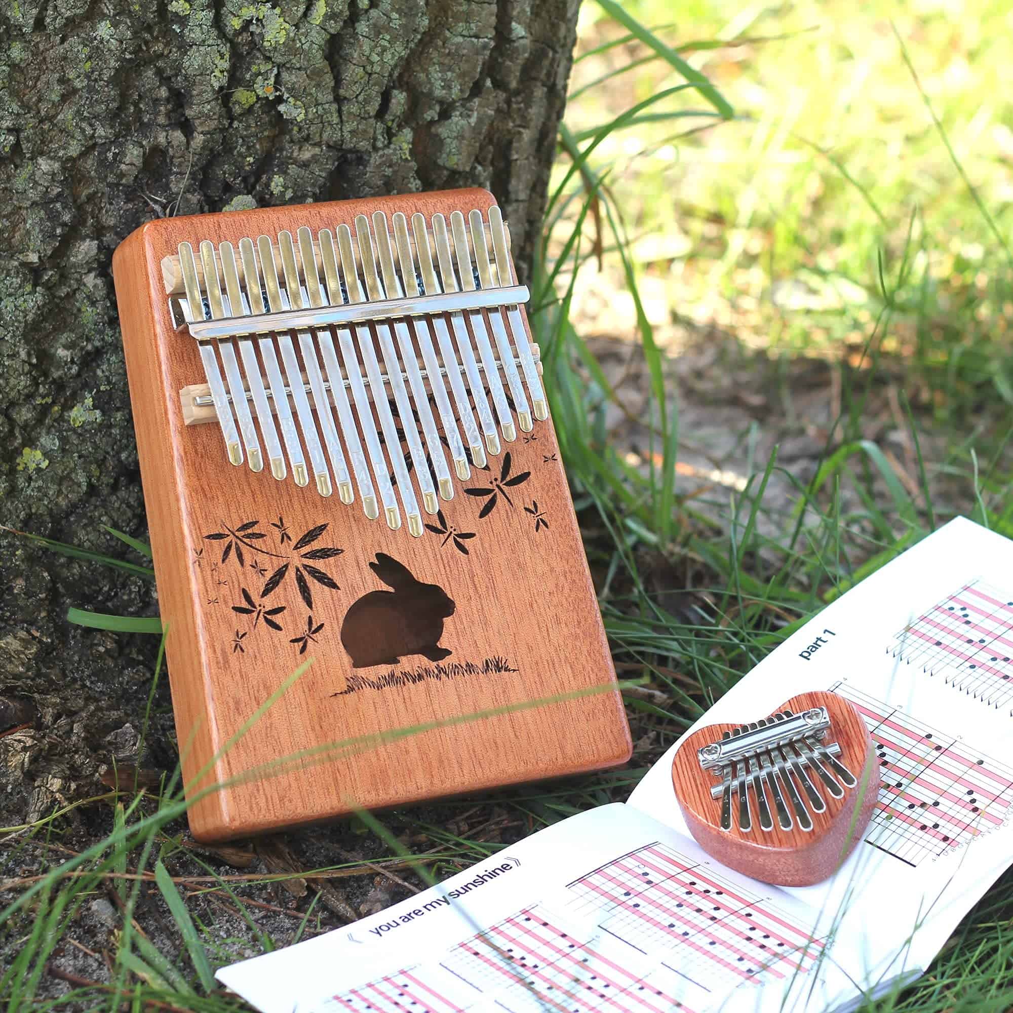 Kalimba Zoanaz 17 Teclas y Mini Kalimba 8 Teclas. Caja de - Imagen 7