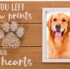 Marco de Foto con Memorial para Mascotas Momentos de Boom |