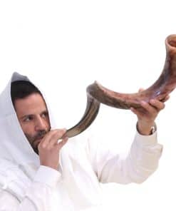 Shofar de Cuerno de Kudu Kosher de Israel 24'-28' -