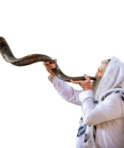 Kosher Kudu Shofar Horn from Israel 39�-41� � Traditional