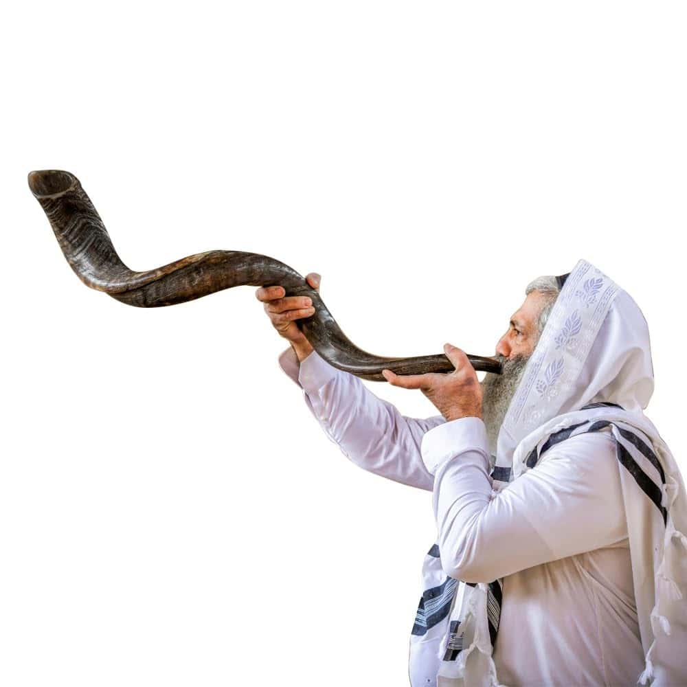 Kosher Kudu Shofar Horn from Israel 39�-41� � Traditional