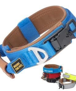 Collar de perro acolchado de cuero suave para todas las