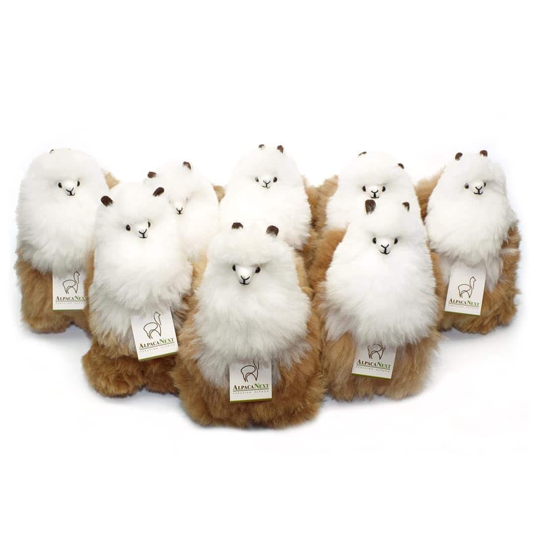 Peluche de Llama AlpacaNext - 12 pulgadas. -Marrón y Blanco - Imagen 3