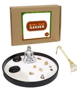 Kit de Jardín Zen para Escritorio, 9.4" Completo Jardines