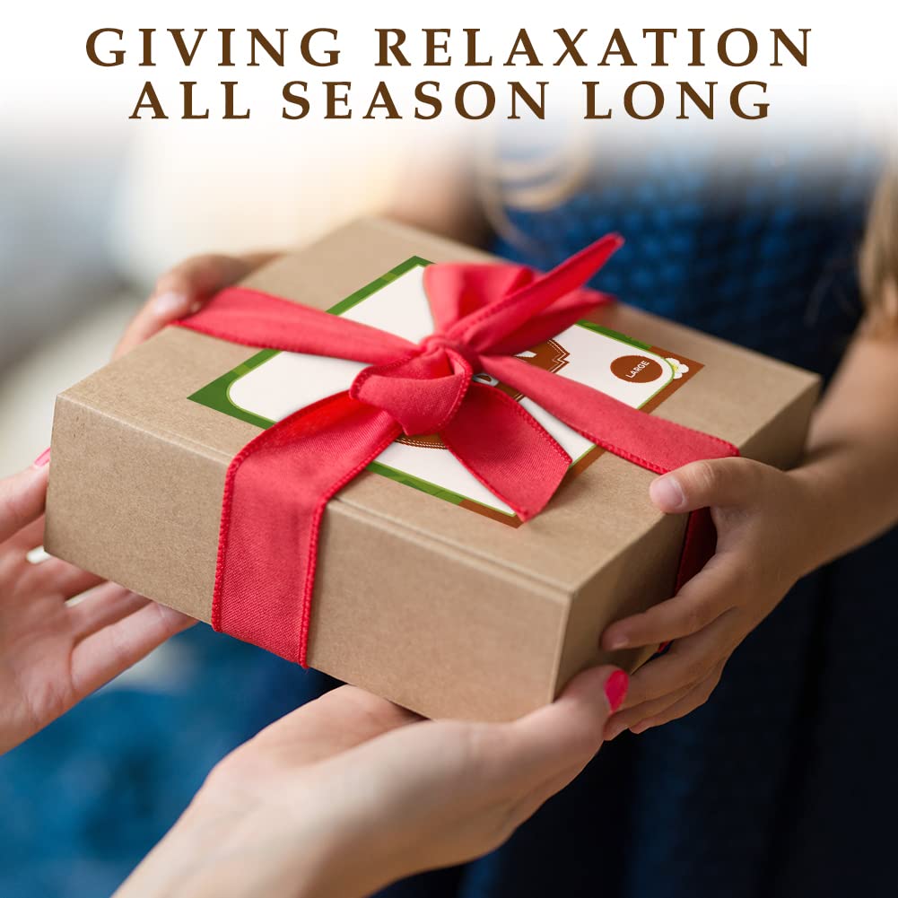 Kit de Jardín Zen para Escritorio, 9.4" Completo Jardines - Imagen 7