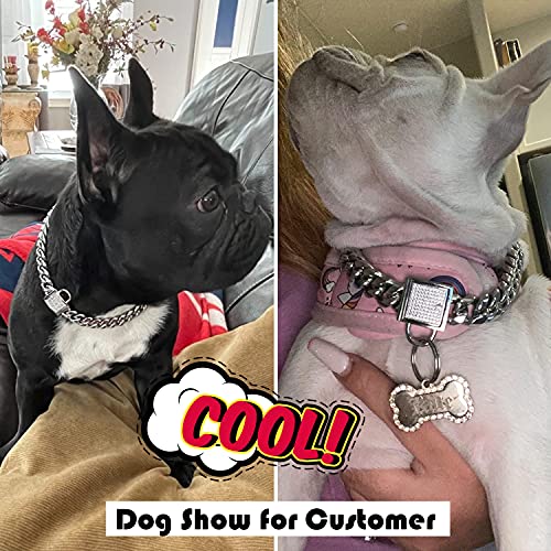 Collar de Cadena para Perros con Cierre de Circonia 10MM - Imagen 8