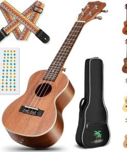 Kit de Ukelele Concierto CAHAYA para Principiantes Starter