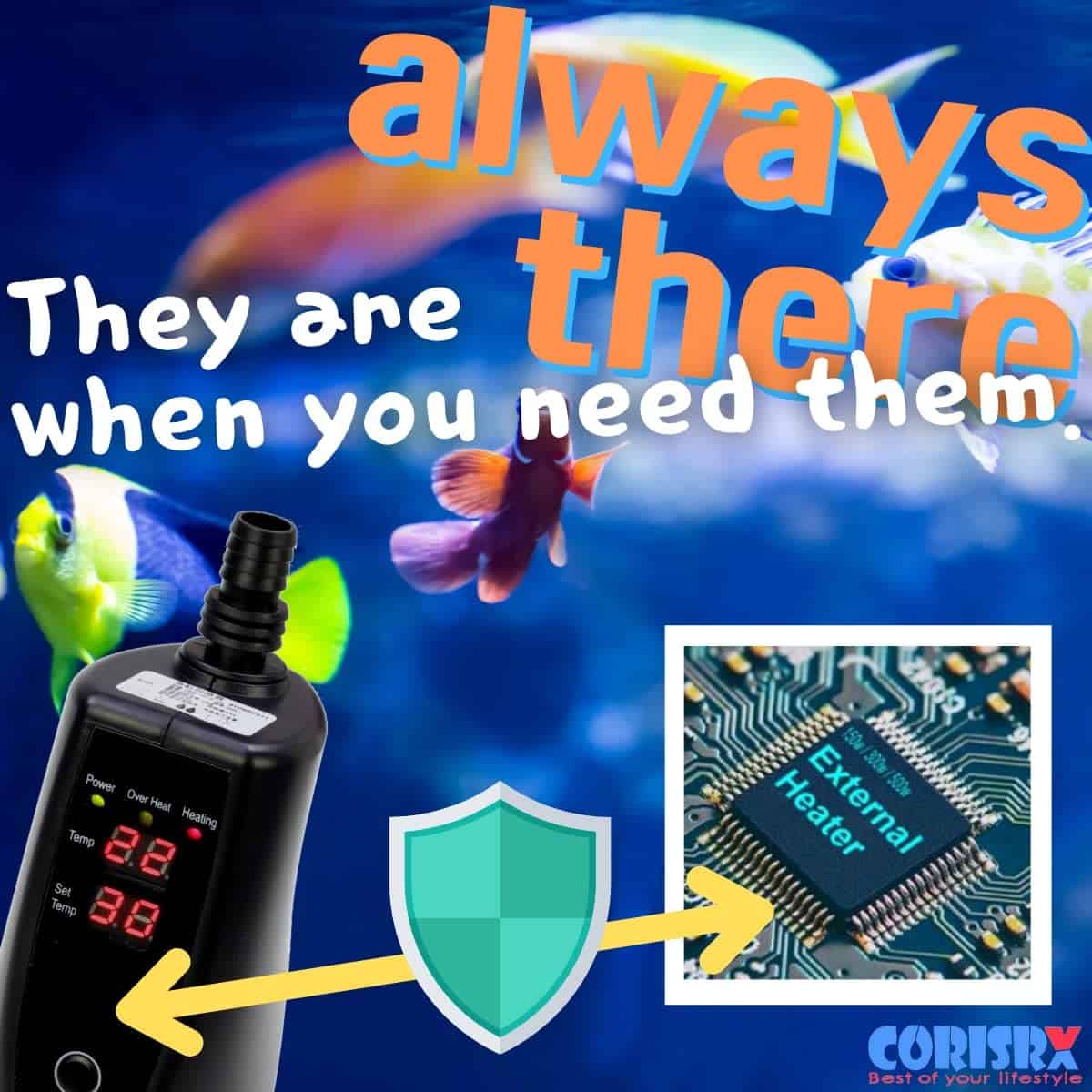 Calentador externo en línea CORISRX 150w/300w/500w para - Imagen 5