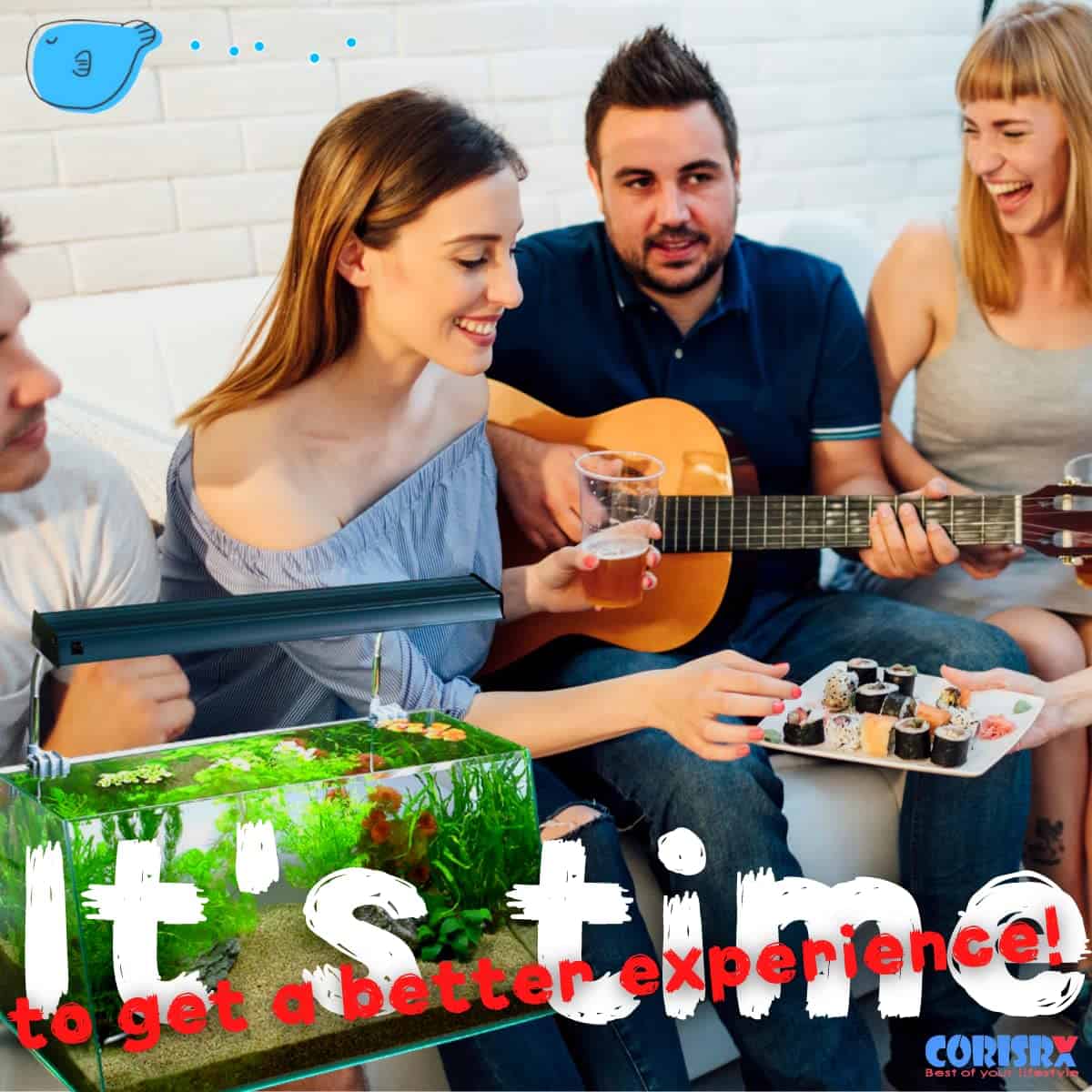 Calentador externo en línea CORISRX 150w/300w/500w para - Imagen 3