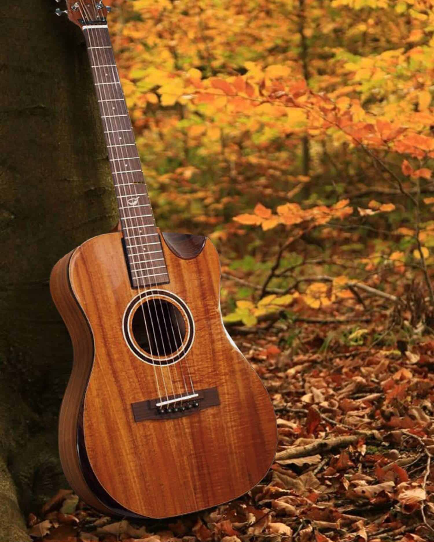 Guitarra de Viaje de Caoba Sólida de Journey Instruments � - Imagen 8