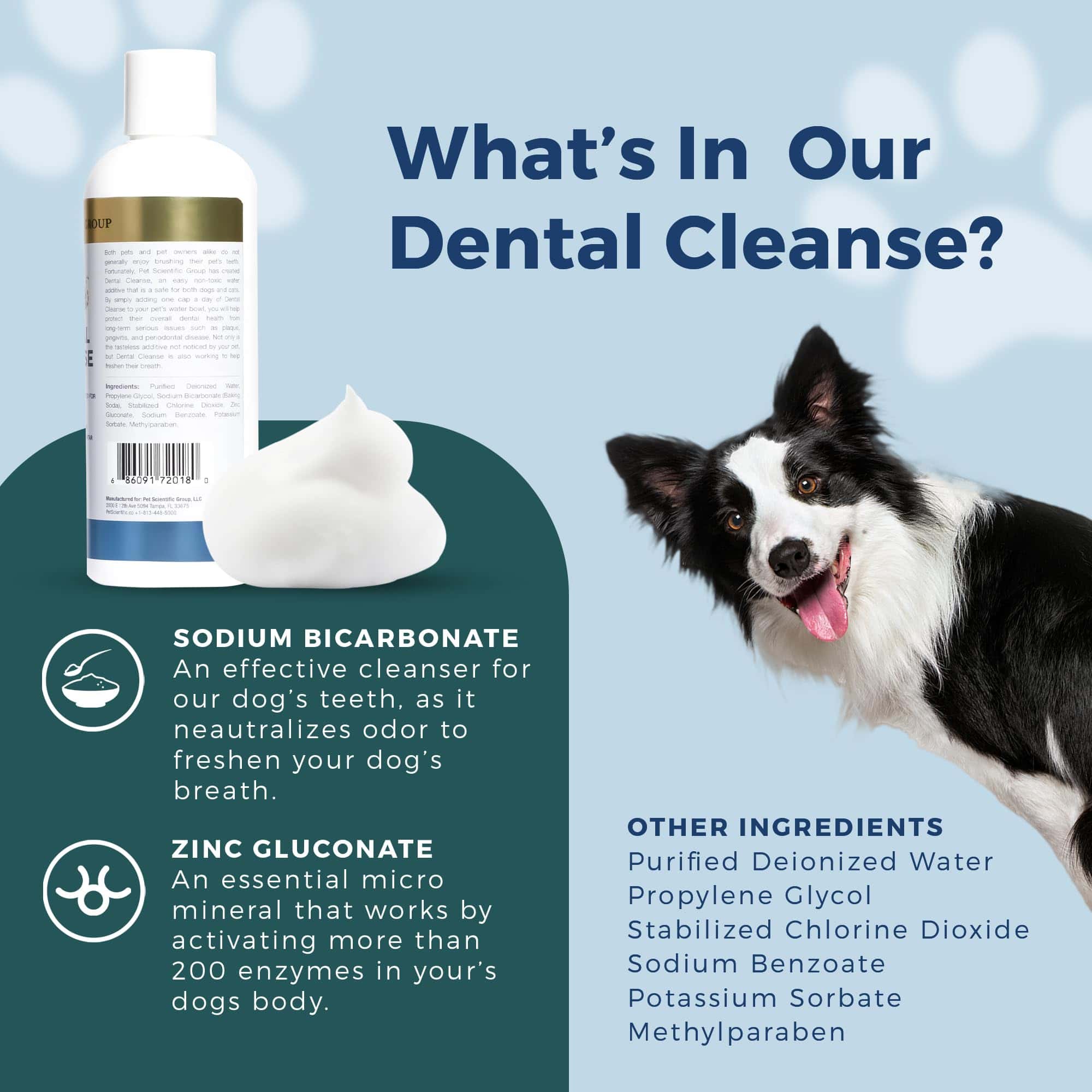 Petscy - Limpieza Dental, Removedor de Sarro para Gatos y - Imagen 7