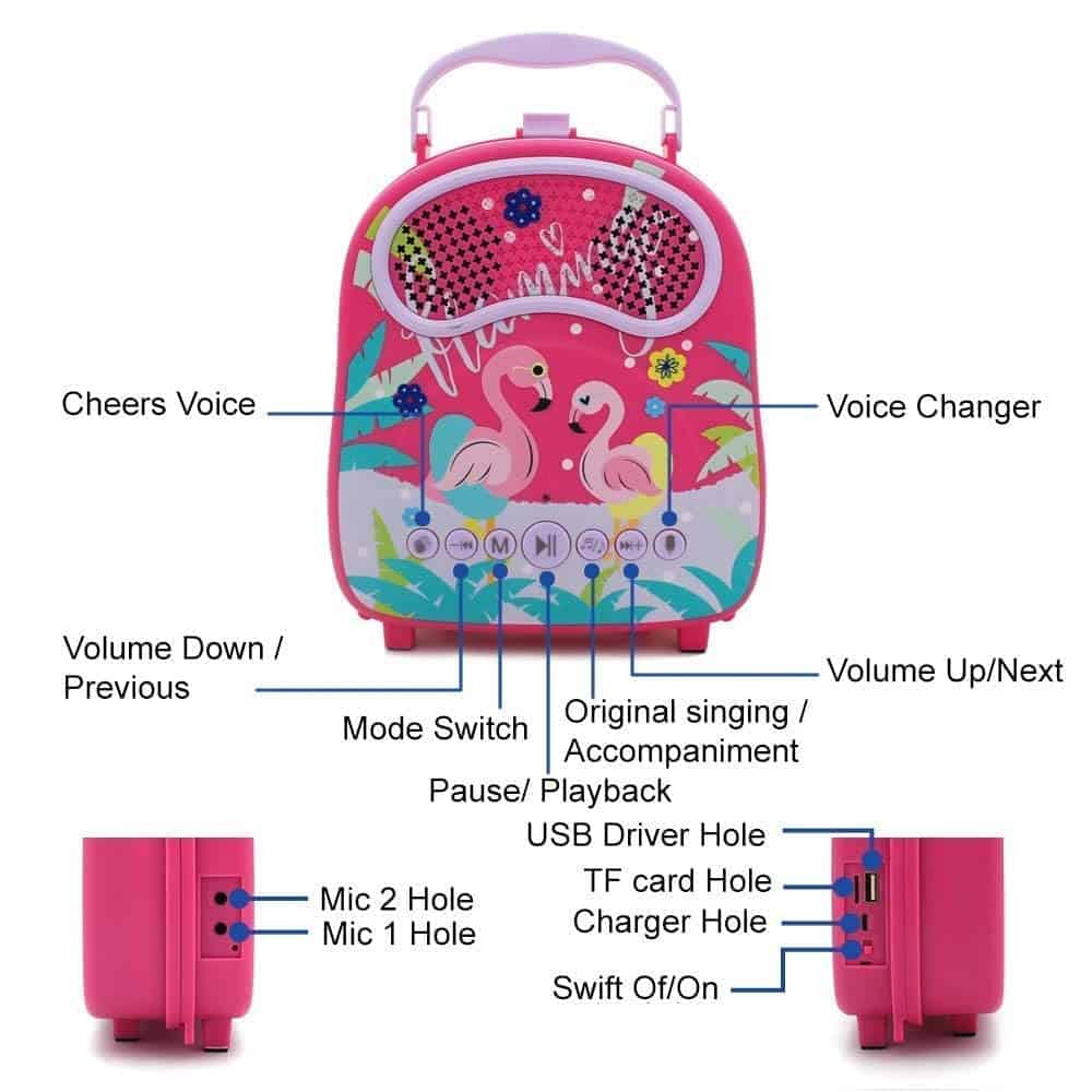 Máquina de Karaoke para Niños con 2 Micrófonos Bluetooth - Imagen 7