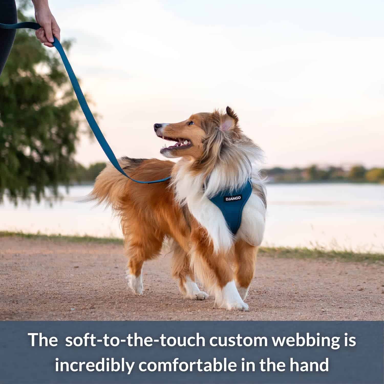 Correa para Perros de Aventura DJANGO - Resistente, Cómoda - Imagen 4