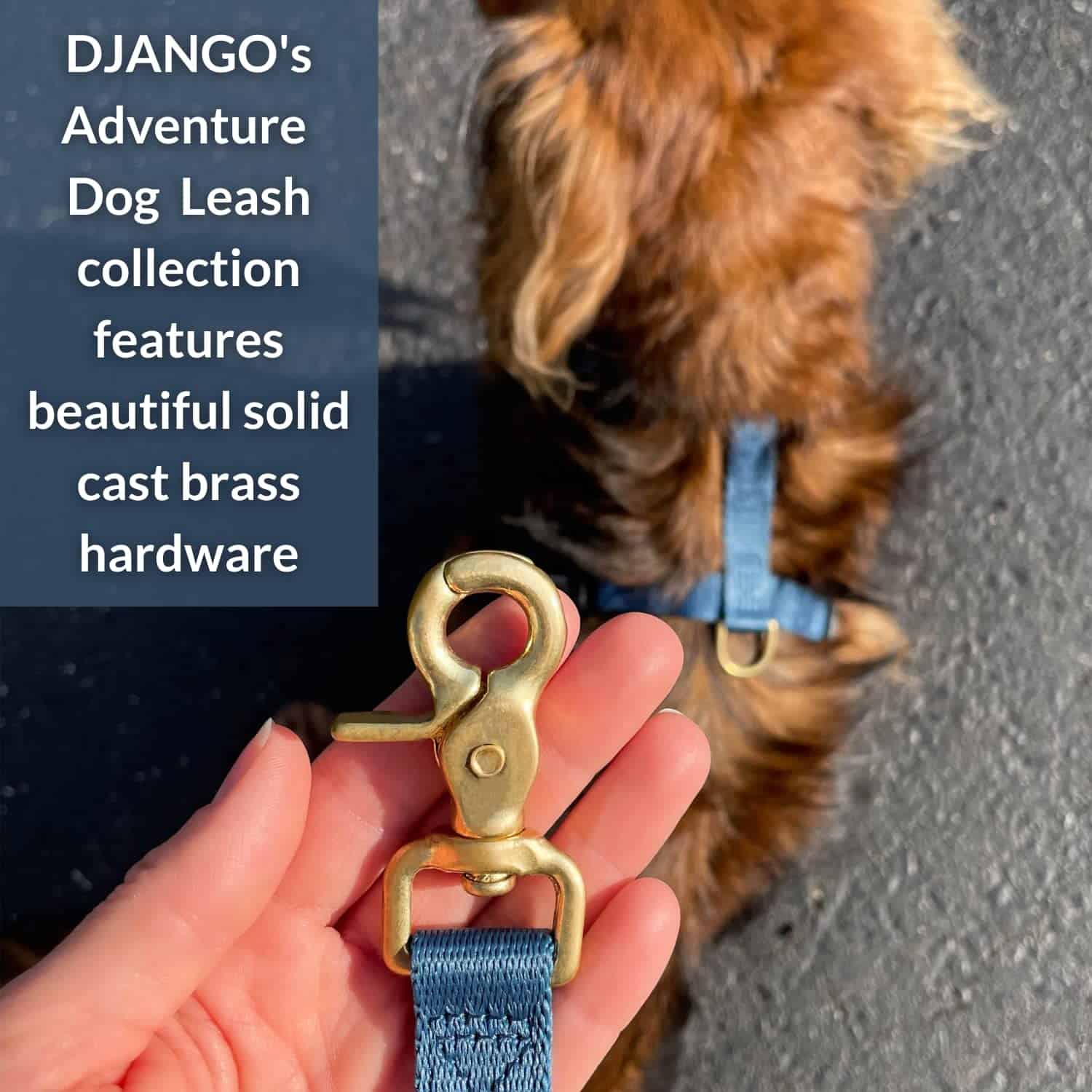 Correa para Perros de Aventura DJANGO - Resistente, Cómoda - Imagen 5