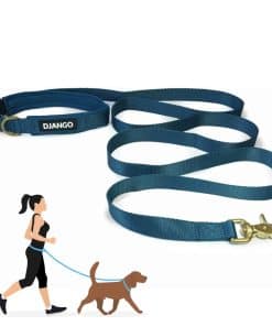 Correa para Perros Ajustable Hands Free Adventure de DJANGO