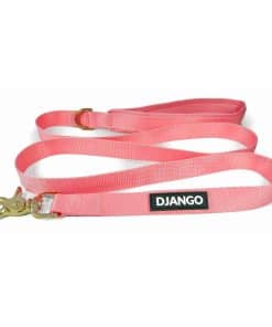 Correa de Perro de Aventura DJANGO - Correa Resistente,