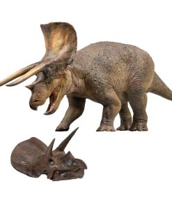 PNSO Serie de Museos de Dinosaurios (Nuevo Modelo de Arte