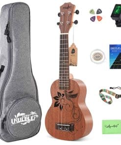 Ukulele Soprano Amdini Bird de 21 pulgadas en Sapele con