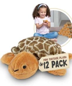 Forest and Twelfth Kids Forest and Twelfth Mini Tortoise