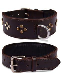 Collar para Perro de Cuero Genuino de la Serie 'Cúpula' de