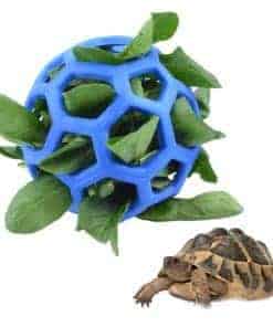 Pelota dispensadora de frutas y verduras para Tortugas -