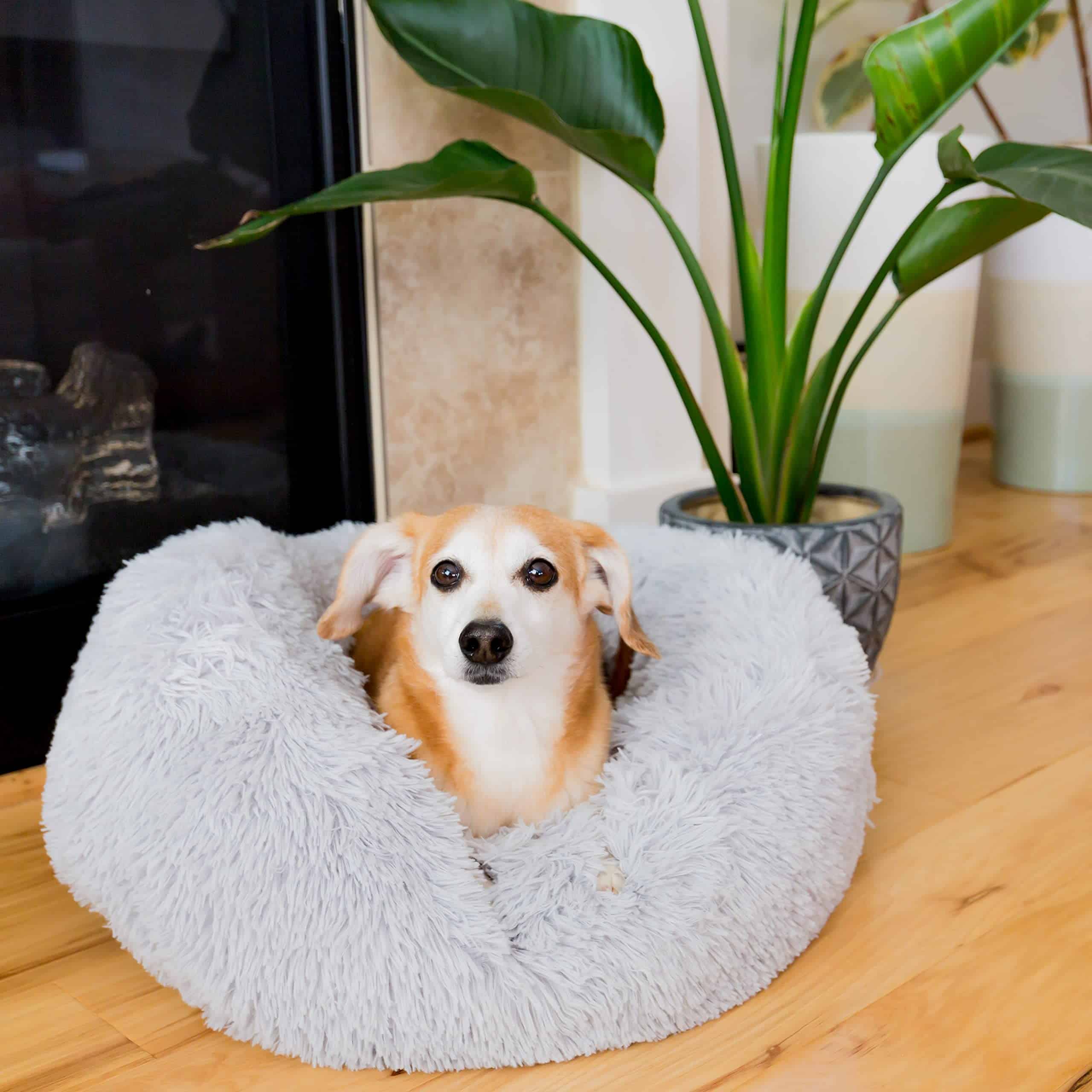 Cama Redonda para Mascotas Youngever, Cama Calmante para - Imagen 6