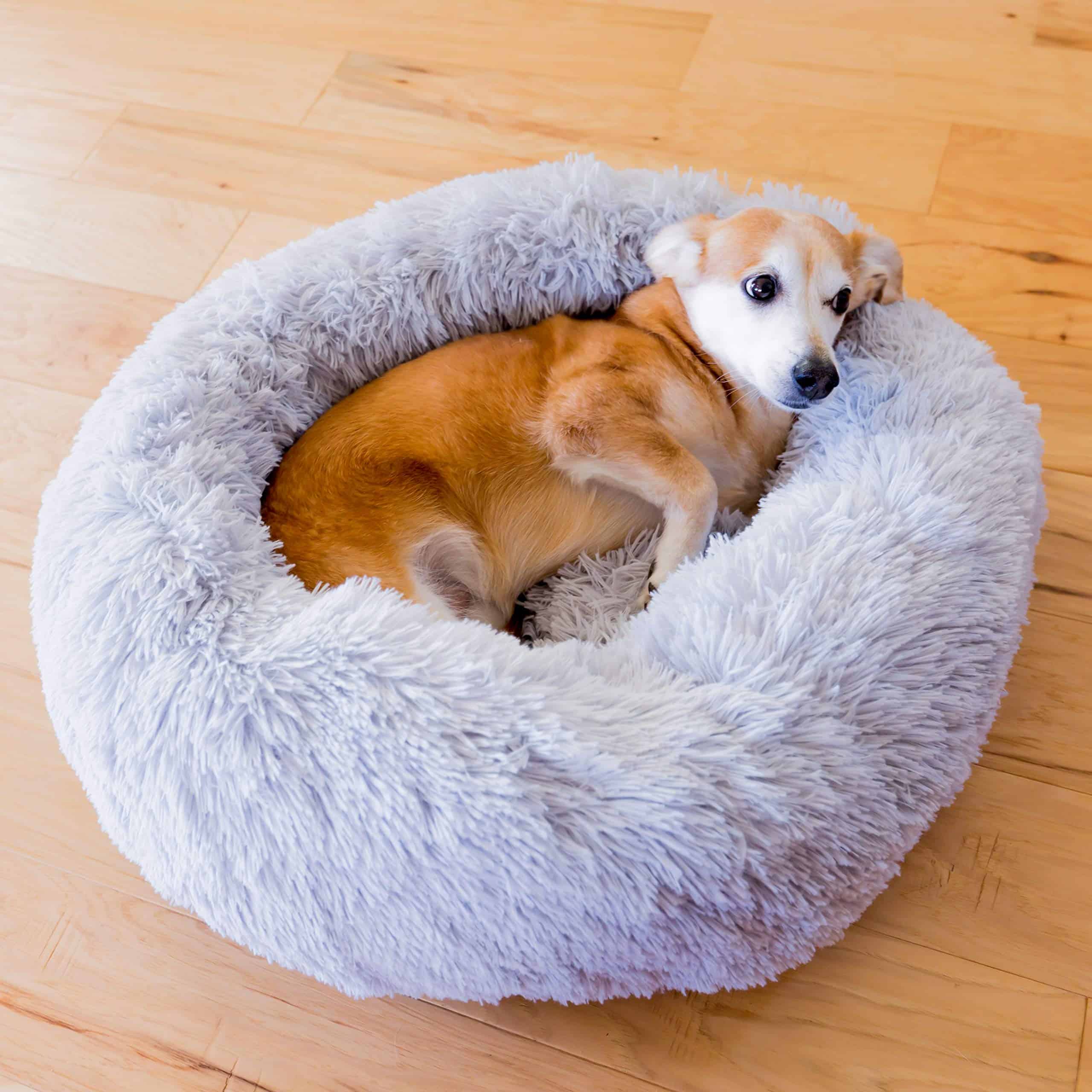 Cama Redonda para Mascotas Youngever, Cama Calmante para - Imagen 5