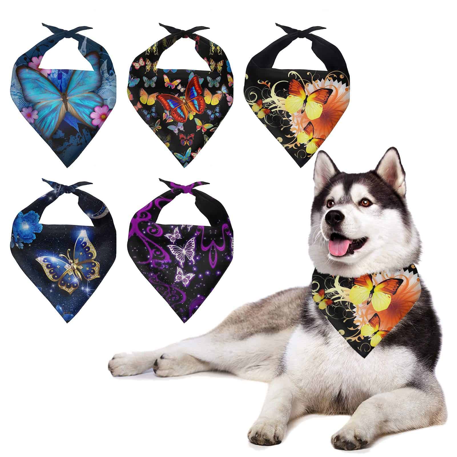 Conjunto de 5 Pañuelos para Perros Howilath - Diseño
