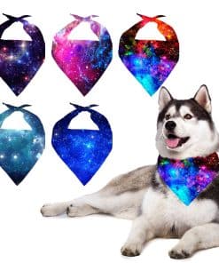 Conjunto de 5 Pañuelos para Perros Howilath, Moda Galaxia