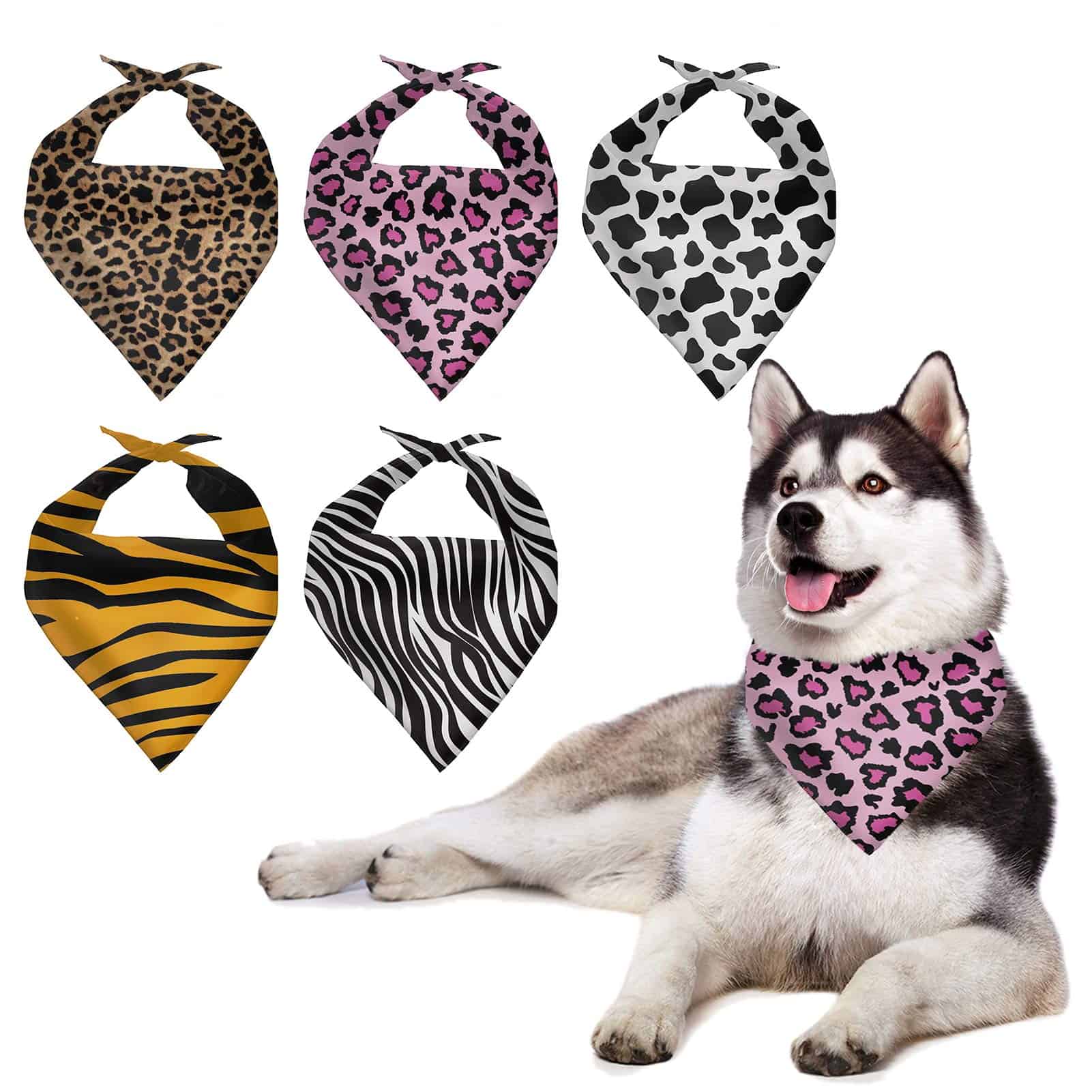 Conjunto de 5 pañuelos para perros Howilath - Diseño de
